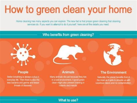 greenodd home cleaning|The Beginner’s Guide to Green Cleaning Your Home.